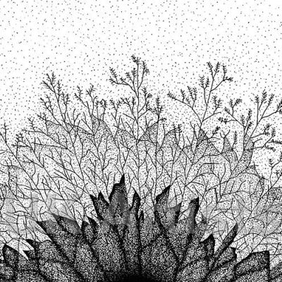Artists Profile: Peter Lovelock